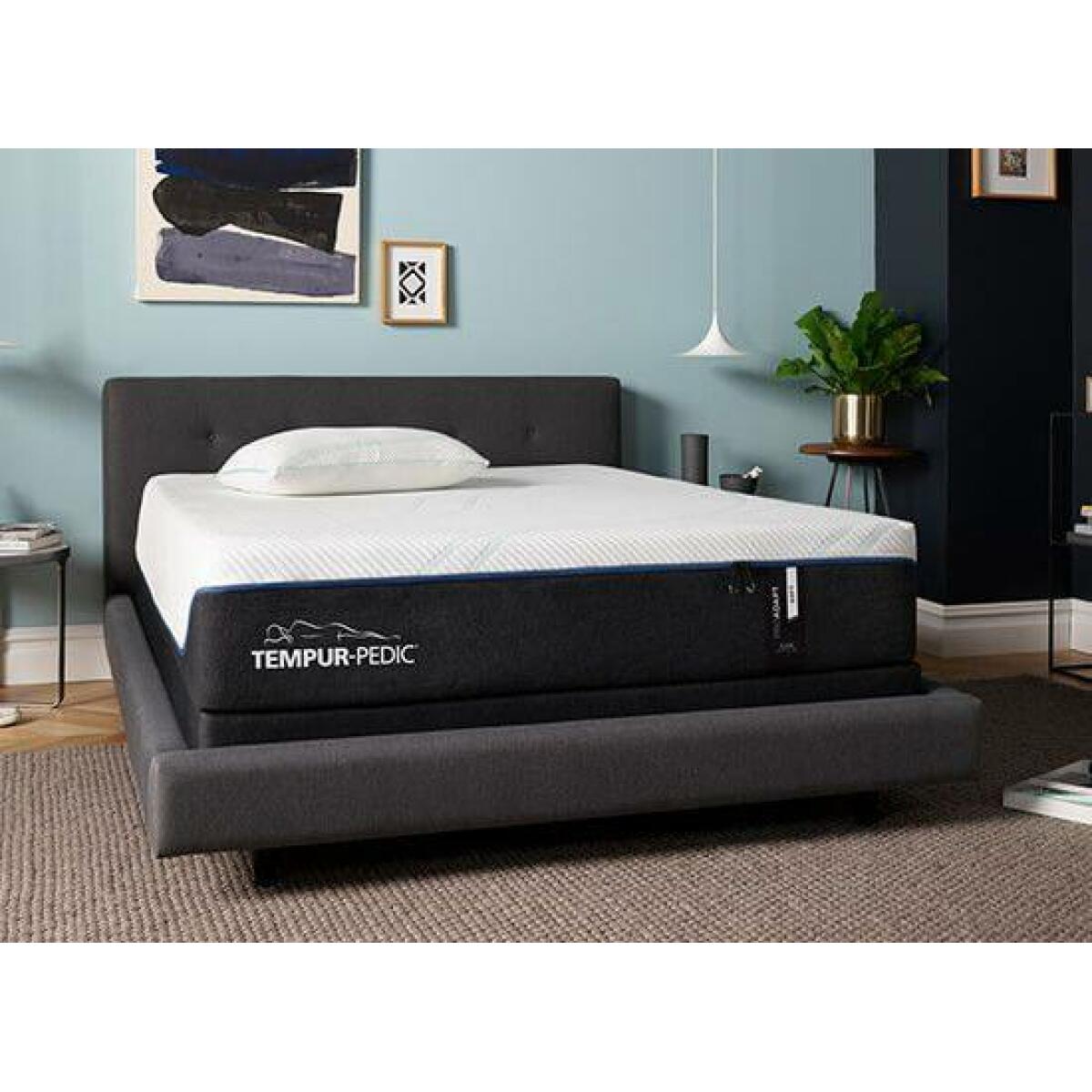 TEMPUR-ProAdapt Plush Mattress - Image 3