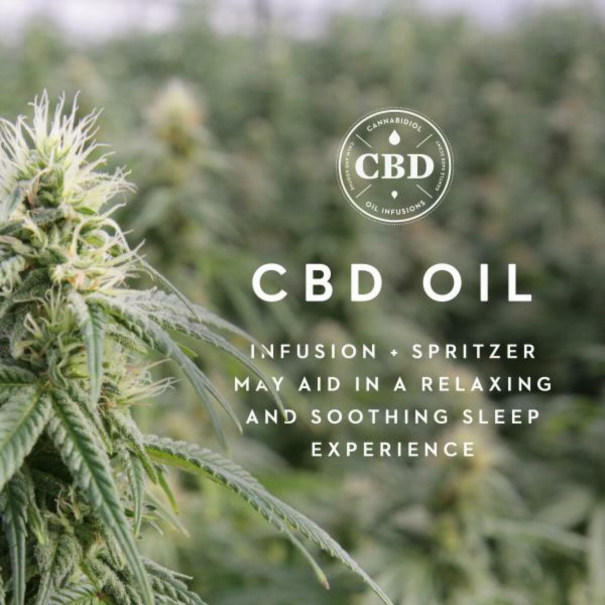 Shoulder Zoned Dough™ + CBD Oil - Image 5