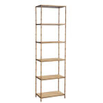 Anubis Shelf 2893AC73
