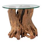 Hidden Treasures Root Ball End Table