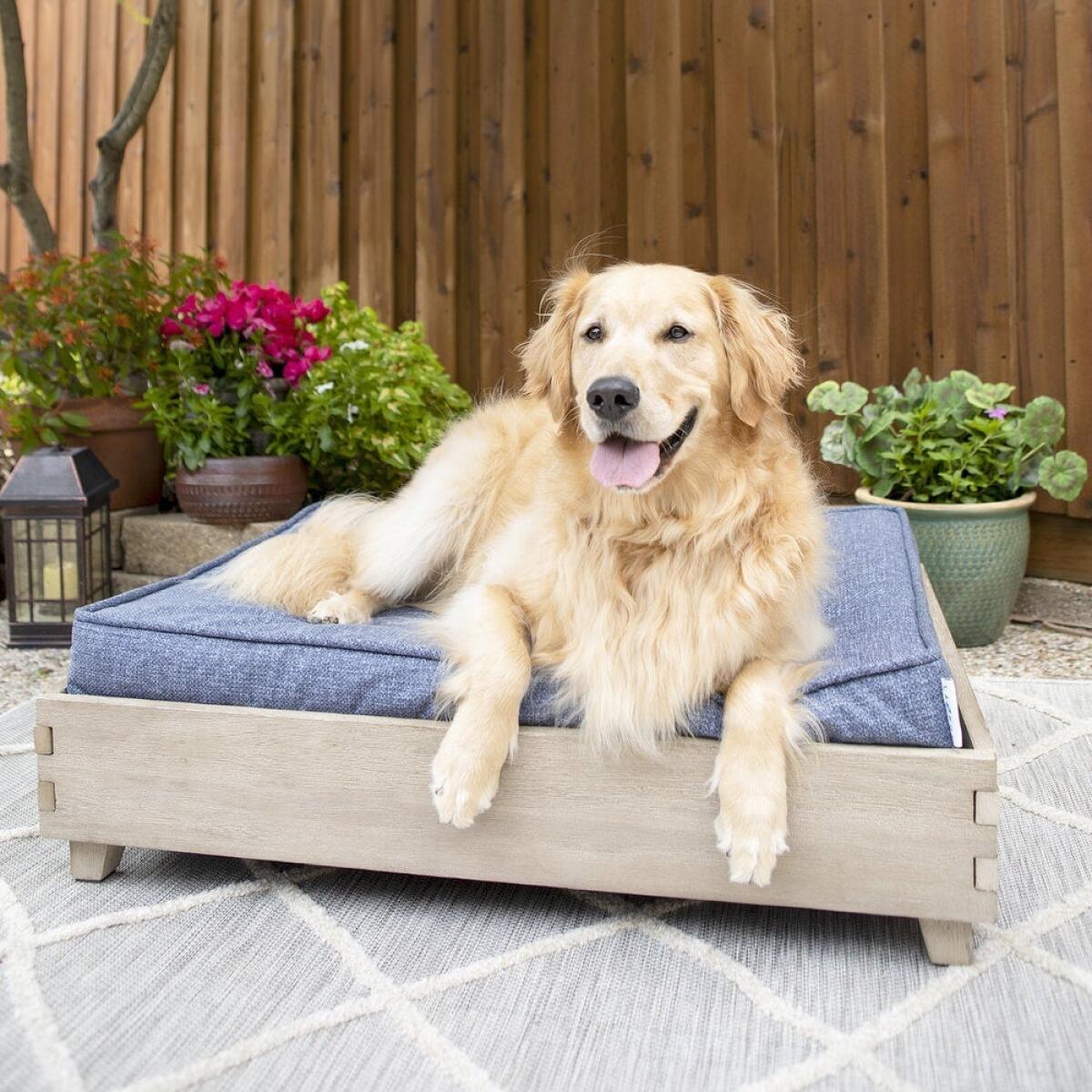 Bailey Indoor/Outdoor Platform - Image 5