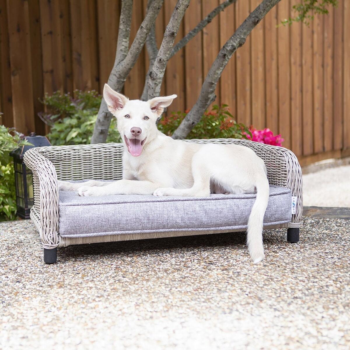 Sunny Indoor/Outdoor Lounger - Image 6