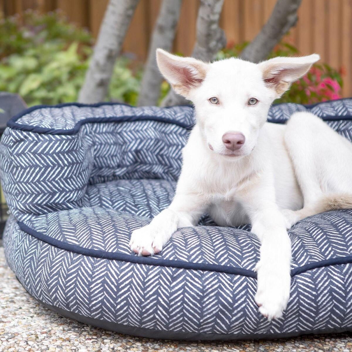 Gaston Indoor/Outdoor Sofa Bed - Image 6