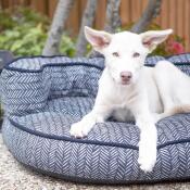 Gaston Indoor/Outdoor Sofa Bed - Image 6