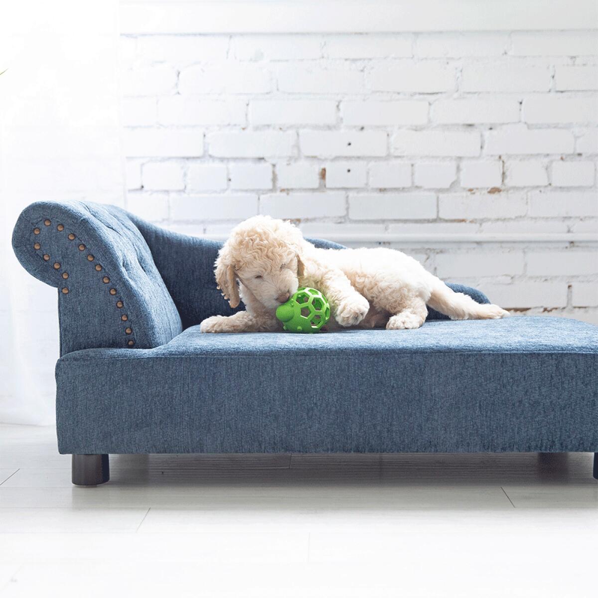 Solana Chaise Lounger, Blue - Image 5