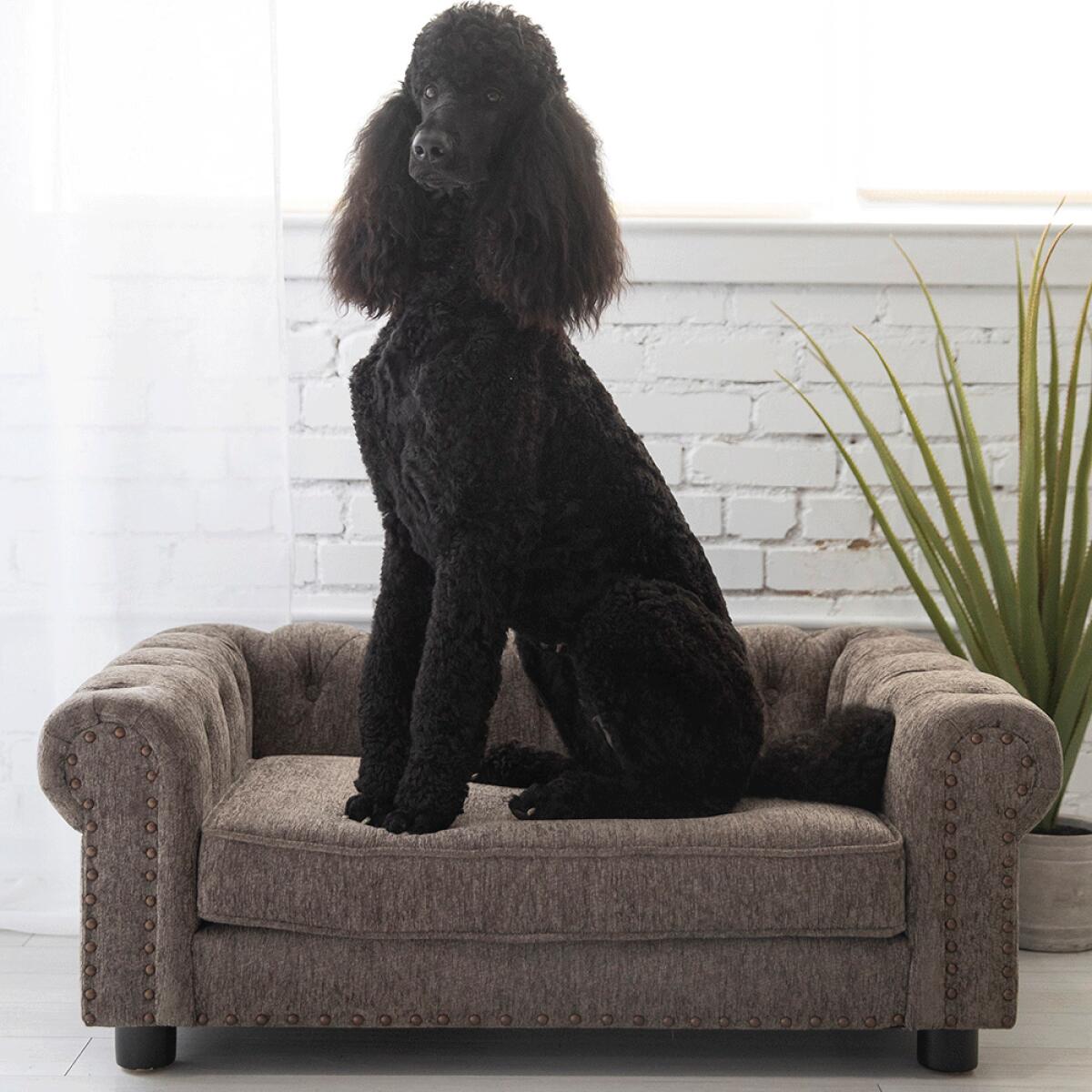 Newton Sofa, Granite - Image 3