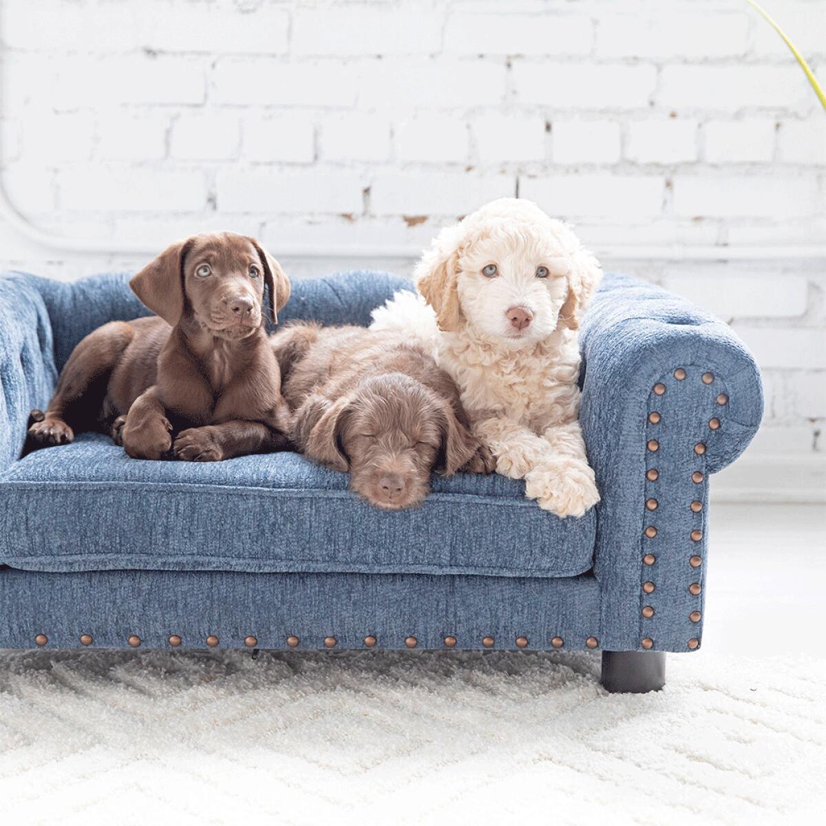 Tuscon Sofa, Blue - Image 4