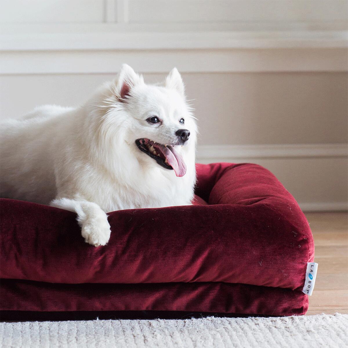 Rosie Lounger, Merlot - Image 3