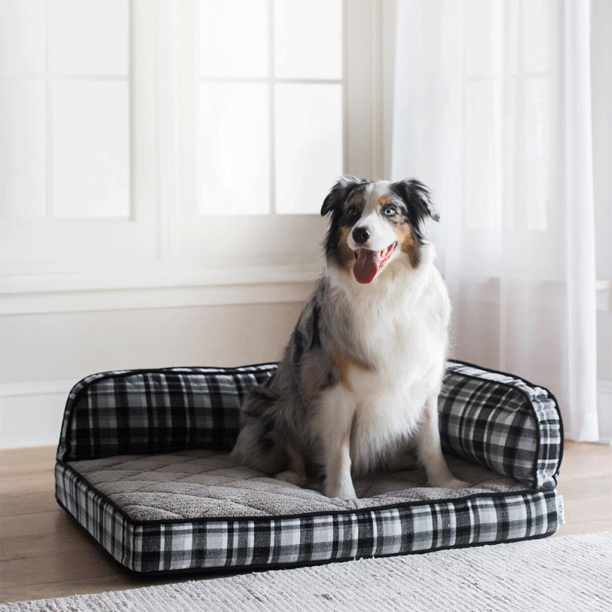Sadie Sofa Bed, Spencer Plaid - Image 4