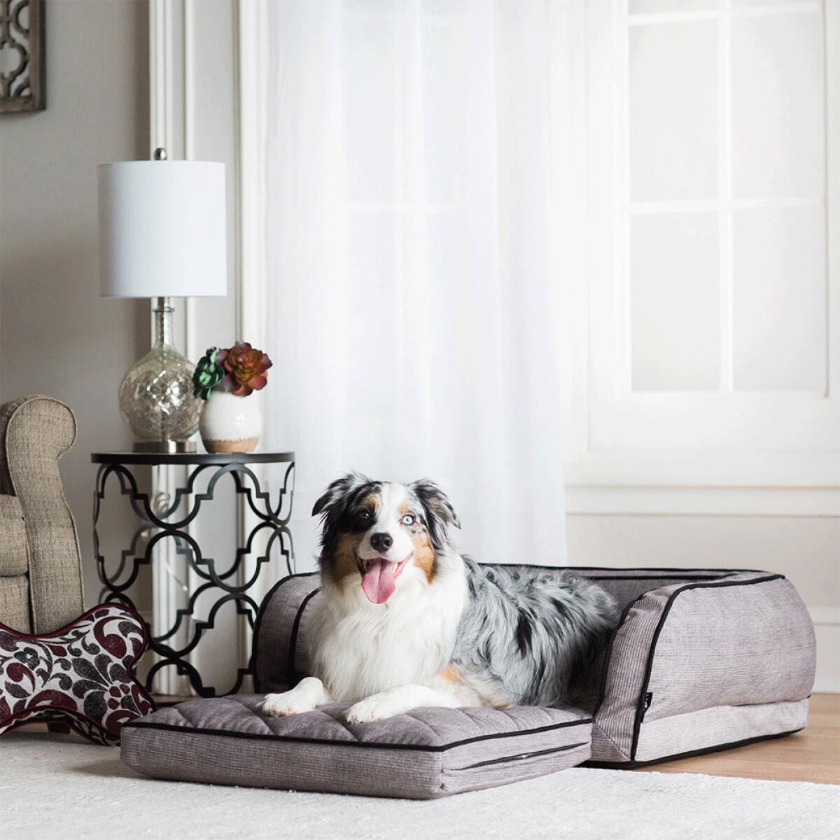 Duchess Fold Out Sleeper Sofa w/iClean, Gray - Image 3