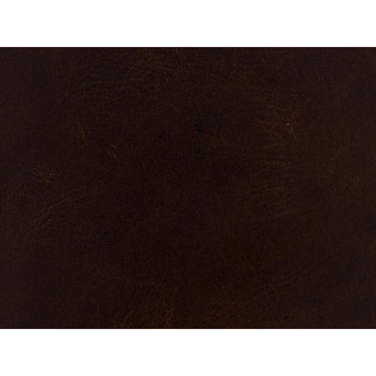 CC Maya Wing Club Chair - Image 2