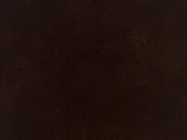 CC Maya Wing Club Chair - Image 2